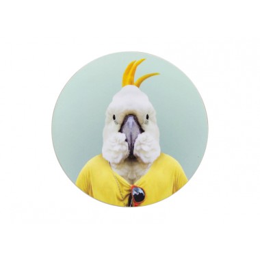 Australian Animal Coasters